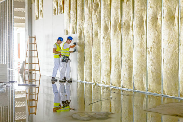 Best Types of Insulation in College Place, WA